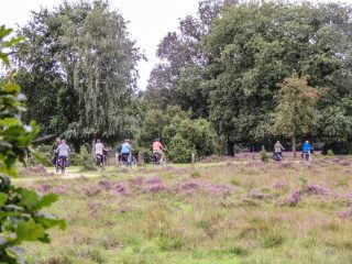 zomerse-fietstocht-in-beltrum